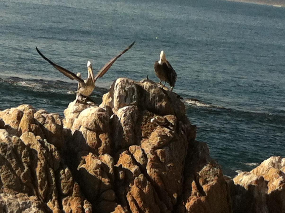 B&B Patrimonial Little Castle Vina del Mar Esterno foto